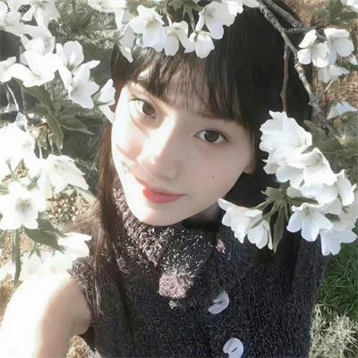 罗马的房子