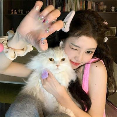 一条叫王子的狗